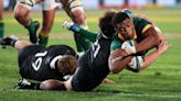 How to watch South Africa vs New Zealand: free live streams for Rugby Championship 2024 game