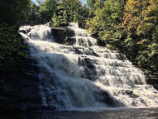 US: Indian Student Tragically Drowns At Barberville Falls In New York