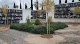 Actuación de urgencia en el cementerio de San Fernando de Jaén ante la falta de espacio