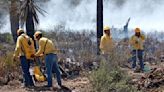 Incendio forestal consume 240 hectáreas de vegetación en NL