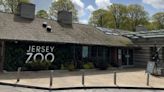 Concerns raised about the future of Jersey Zoo
