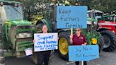 Farmers rebel against plant-based council plan