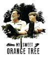 My Sweet Orange Tree (film)