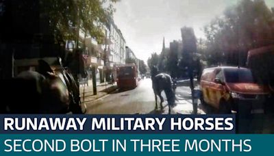 Runaway military horses bolt through London again after losing riders - Latest From ITV News