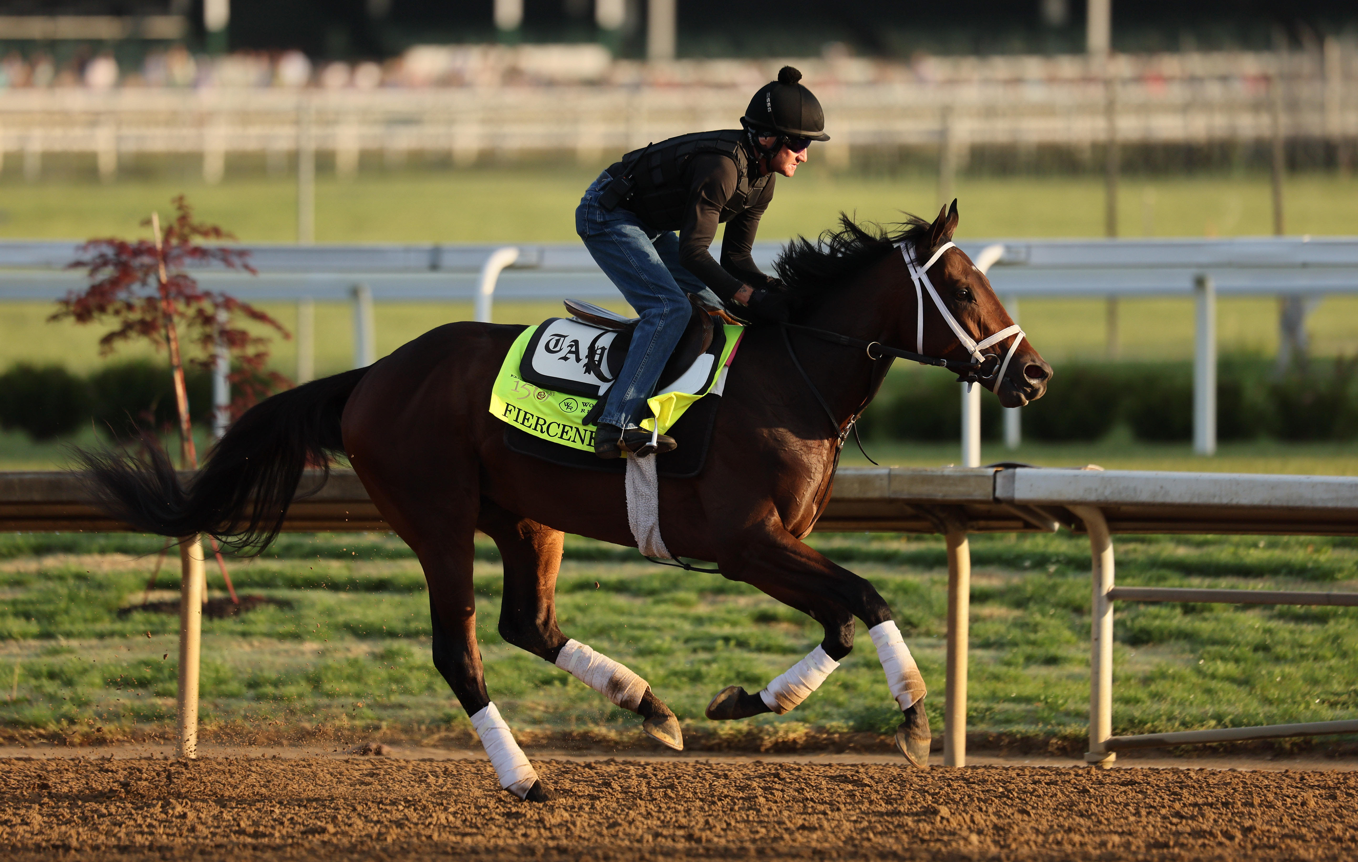 Kentucky Derby post positions updated after horse scratches from race