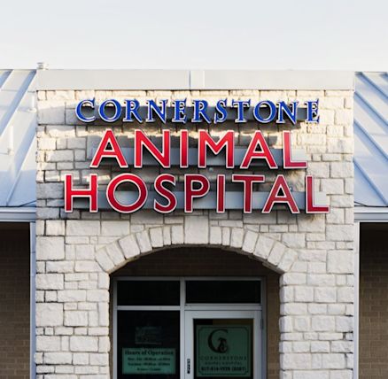 cornerstone animal hospital