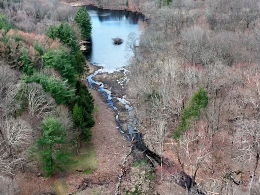 Ned Lamont’s Greenwich neighbor commissions report claiming hundreds more trees were removed