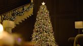 Here’s How to Order Your Christmas Tree Online This Year