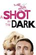 A Shot in the Dark (1964 film)