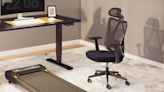 FlexiSpot C5 ergonomic office chair review