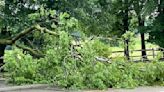 PHOTOS: Storm damage reported throughout Miami Valley