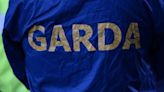 Seized weapons belong to supplier of firearms to gangs, gardaí believe