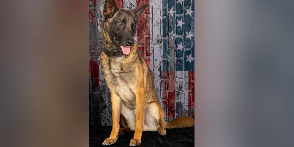 Funeral procession held for K-9 killed during foot pursuit; search for suspect ongoing