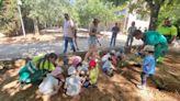 Valdepeñas: Plantaciones y senderismo para el Día de Medio Ambiente