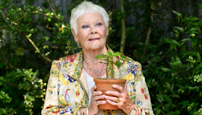 Actress Judi Dench says she 'can't even see' due to macular degeneration. Here's what to know about the leading cause of vision loss for people over 50.