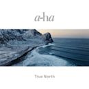 True North (A-ha album)
