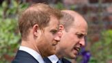 Harry calls William ‘arch nemesis’ and claims prince physically attacked him