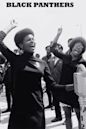 Black Panthers (film)