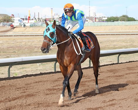 Higher Ed First Stakes Winner for Sporting Chance