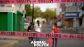 PRI no postulará candidatos en 7 ayuntamientos de Jalisco tras asesinato del alcalde de Pihuamo