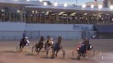 Barn At Buffalo Raceway Quarantined For EHV-1 Exposure