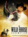 The Wild Horse Redemption