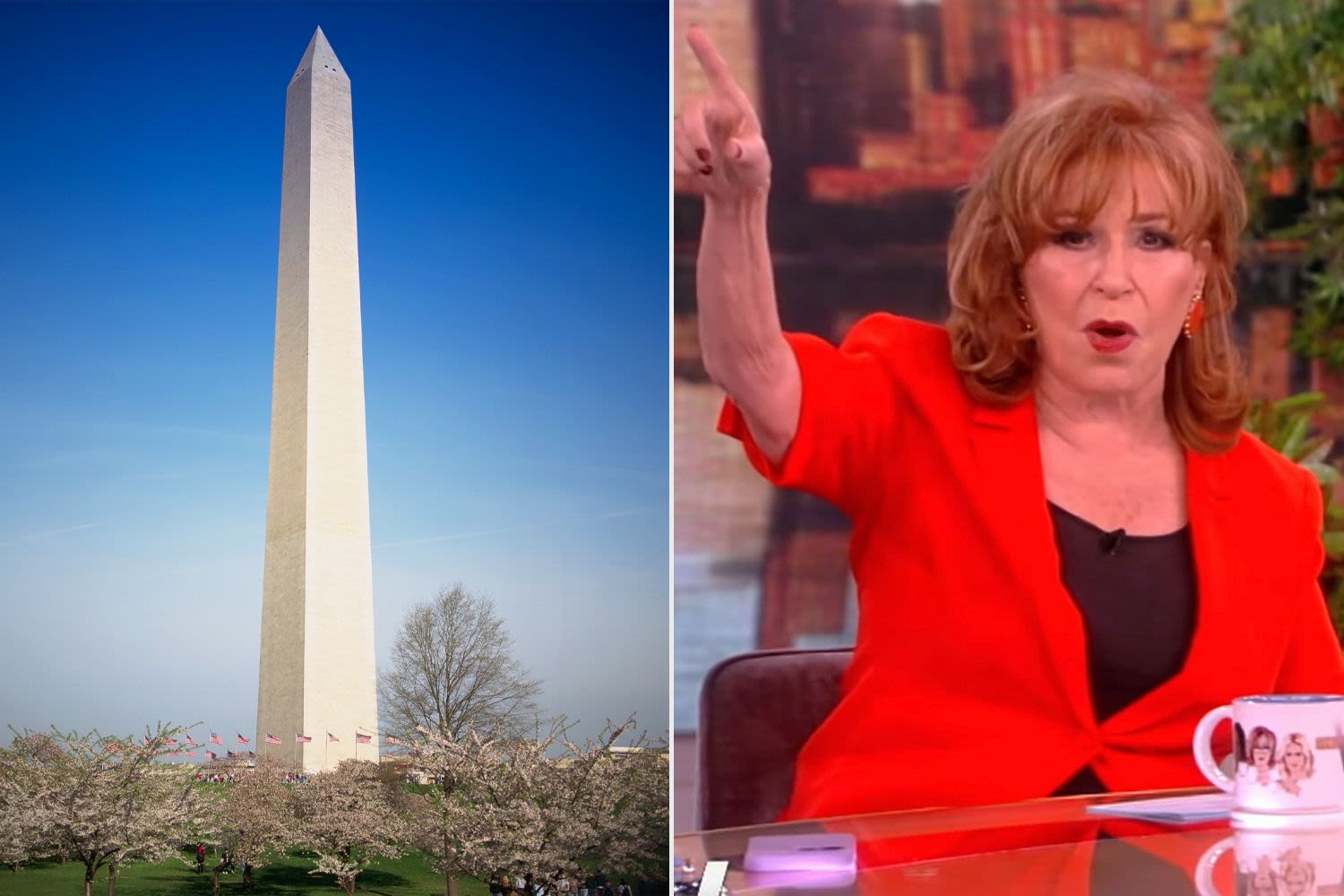 Joy Behar compares Washington Monument to a penis