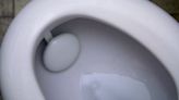 A first look at Withings' toilet bowl urine analyzer