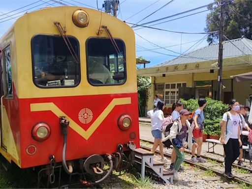 來場芬多精之旅! 搭阿里山林鐵一路玩上山