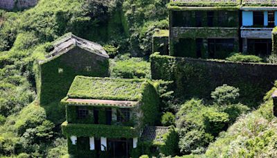 Inside 'ghost' island swallowed by nature - & why old residents return each day