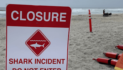 Man attacked by shark during group swim on California beach