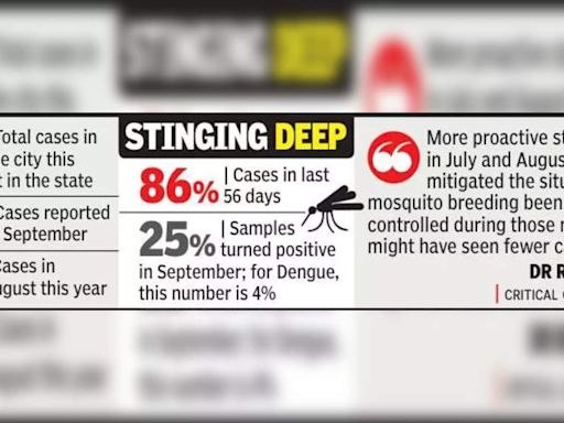 Urgent: Protect Chikungunya Patients from Mosquito Bites to Prevent Rapid Spread | Nagpur News - Times of India