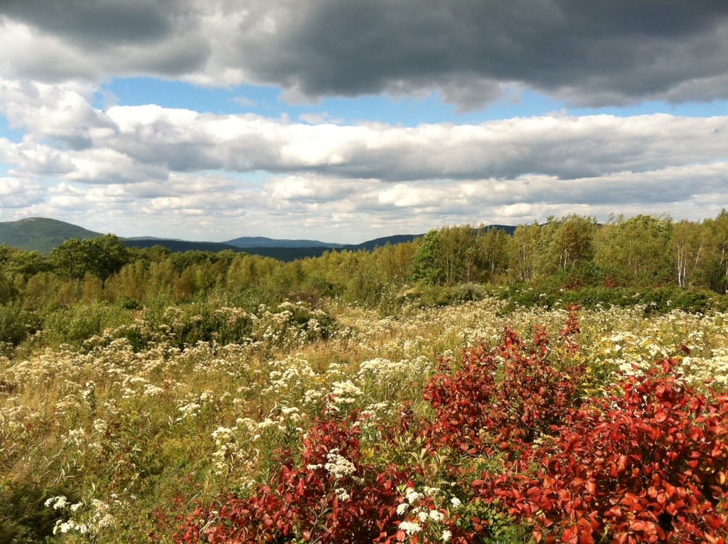 Check out these trails that feature a variety of incredible plants