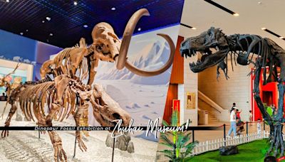 珠海博物館暑假期間限定：恐龍、古生物展覽！與恐龍化石親密接觸，穿越時空一睹史前冰河巨獸樂園 | 夏月 - Fly with Luna