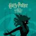 Harry Potter and the Goblet of Fire (film)