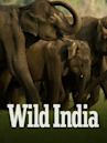 Wild India