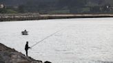 El Instituto de Oceanografía estudiará las praderas marinas de la ría de Villaviciosa