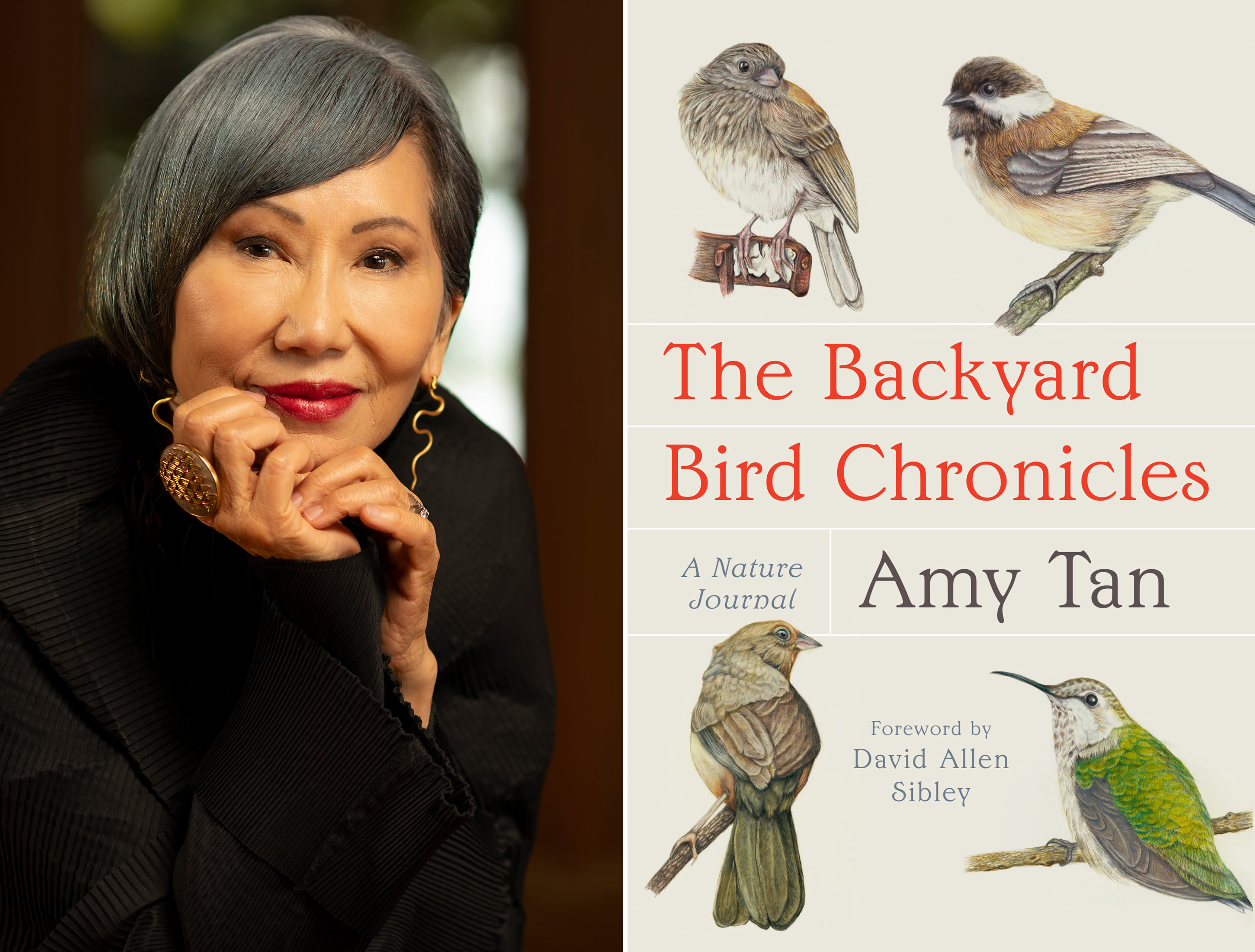 ‘A sense of calm’: Amy Tan’s writing and illustrations soar in new book about birds