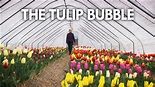 The Tulip Bubble | DOCUMENTARY | Flower Industry | Tulip Business ...