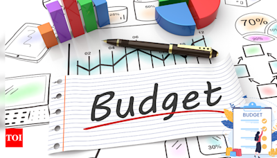 Budget 2024: Need to re-think the profit margin under presumptive tax scheme for professionals - Times of India