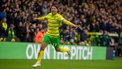 Palace interested in Norwich's Sara
