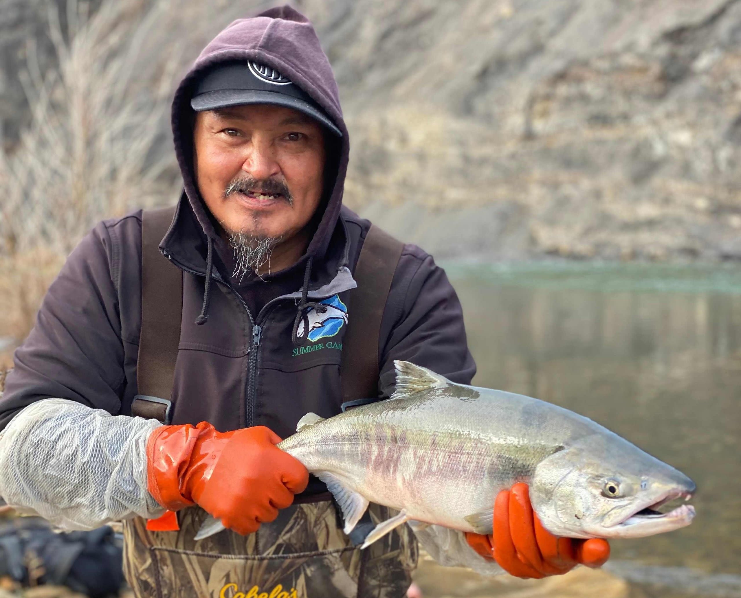 Climate change opens unwanted access to Arctic for Pacific salmon