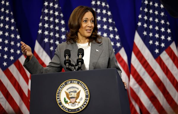 Kamala Harris on standby as Democrats plunge into panic mode