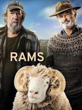 Rams (2020 film)