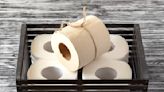 60% of Bamboo Toilet Paper Brands in the UK Were Made With Other Woods, Testing Finds - EcoWatch