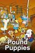 Pound Puppies