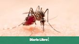 Dominicano crea software que predice brotes de dengue con 88 % de efectividad