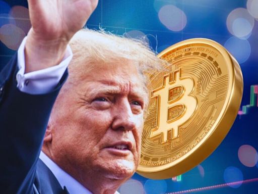 Donald Trump's Reported $33M Crypto Portfolio Peak Is Now Down to $8M. How Much Did He Lose In The Past Month?