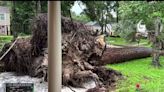 Daños semejantes a tornado: 4 muertos y devastación en Houston por tormentas
