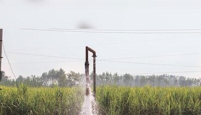 More than 50% marginal farmers reported losing crops due to extreme weather
